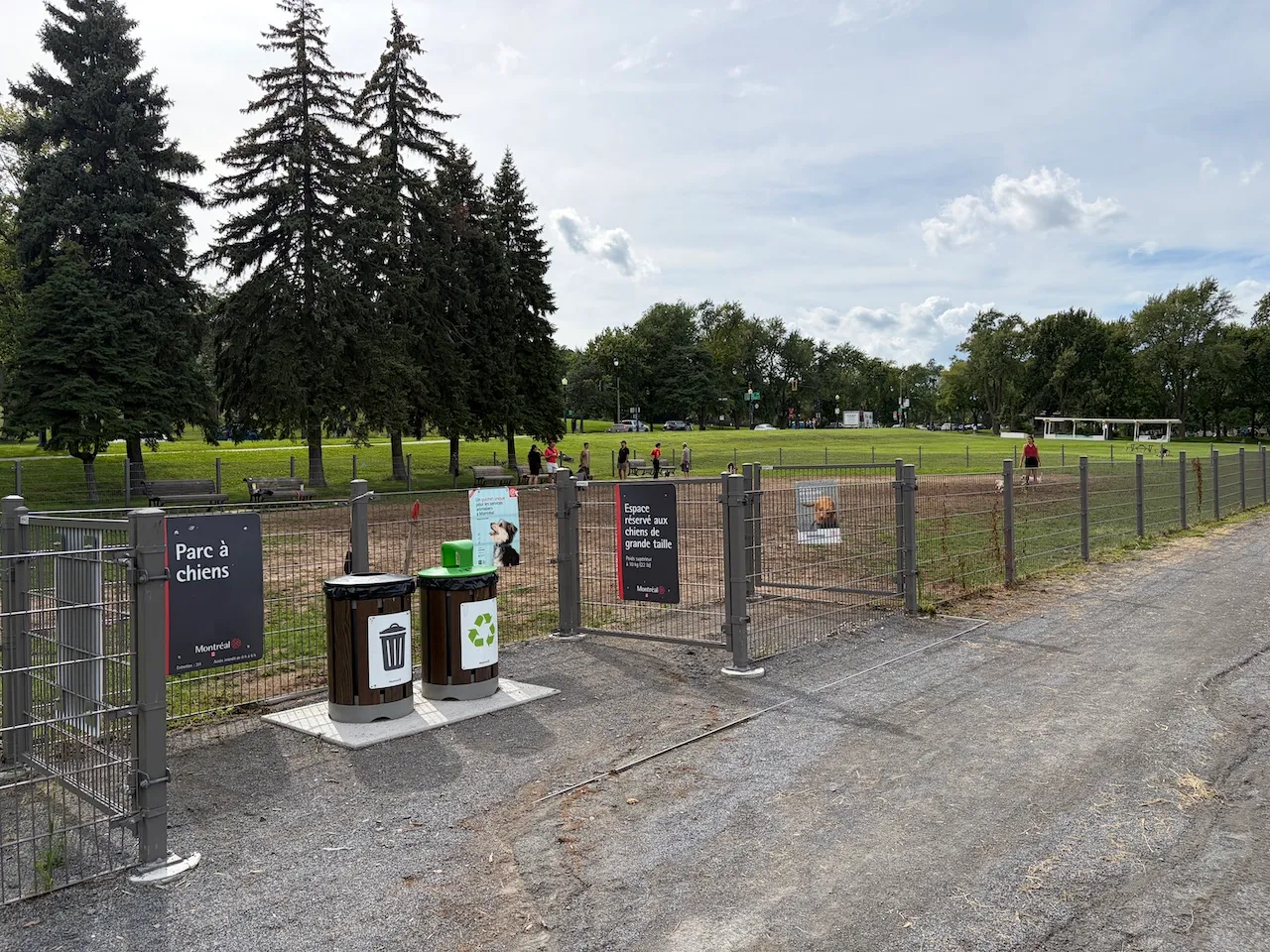Dog Park