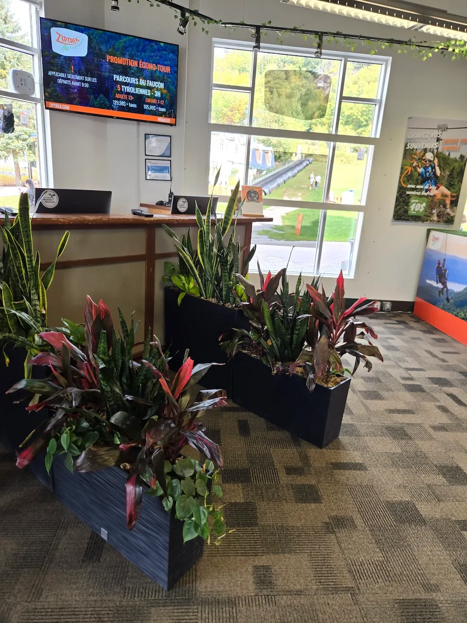 Comptoir d'accueil du Ziptrek