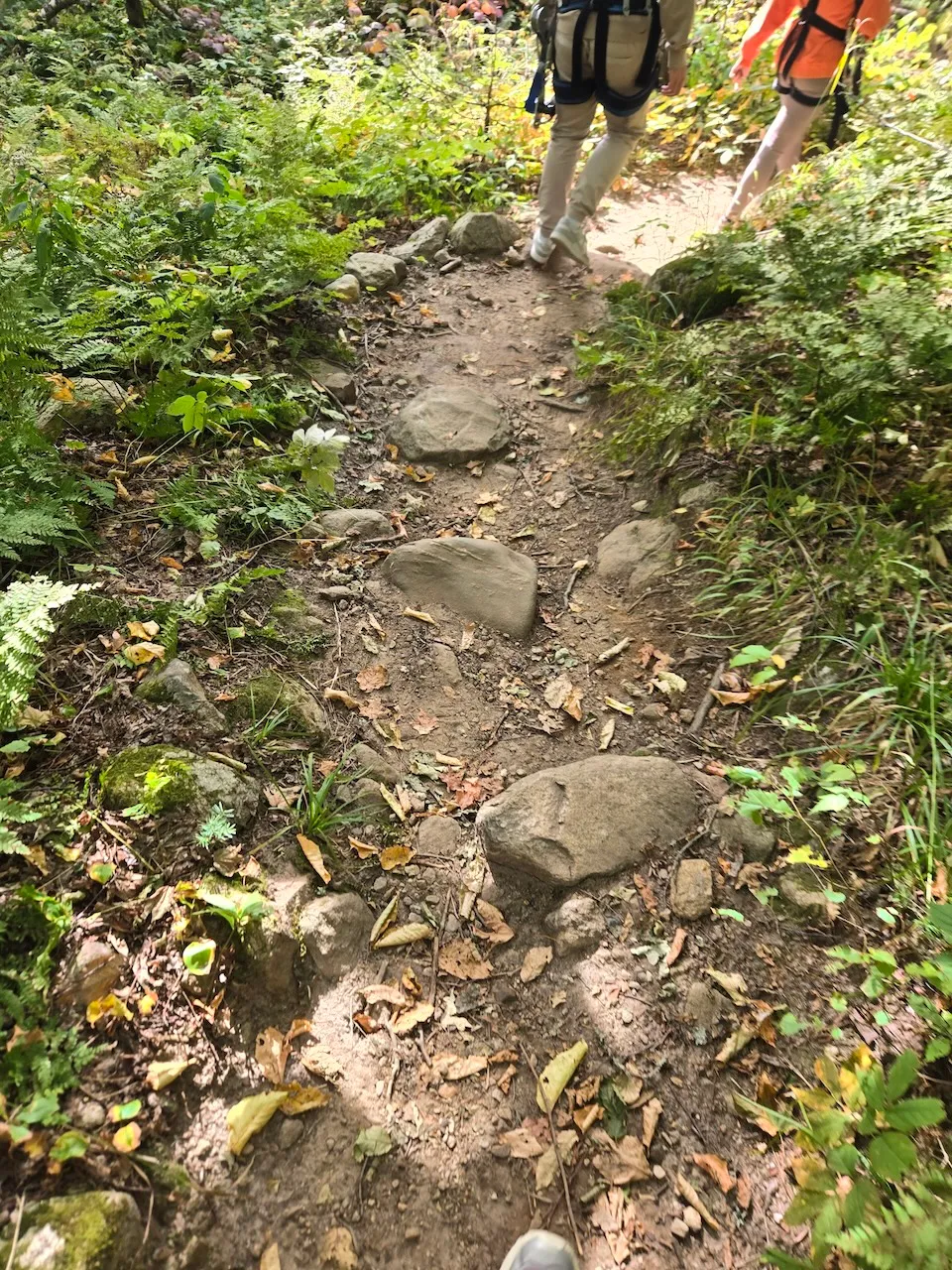 Revêtement du sentier